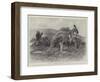 Studies from Life at the Zoological Gardens, the Red Kangaroo-null-Framed Giclee Print