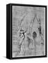 Studies in Comparative Anatomy, 1506-1507-Leonardo da Vinci-Framed Stretched Canvas