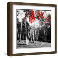 Studies in Red 1-null-Framed Art Print