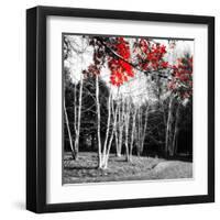 Studies in Red 1-null-Framed Art Print