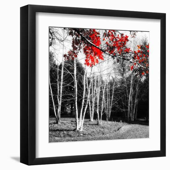 Studies in Red 1-null-Framed Art Print