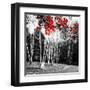 Studies in Red 1-null-Framed Art Print