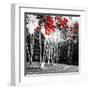 Studies in Red 1-null-Framed Art Print