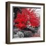 Studies in Red 4-null-Framed Art Print