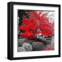 Studies in Red 4-null-Framed Art Print