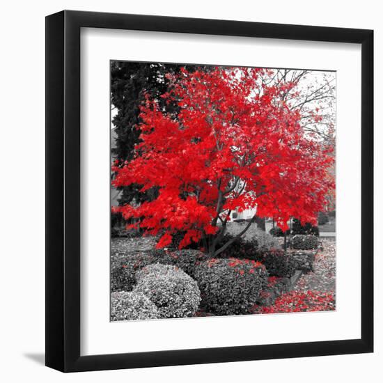 Studies in Red 4-null-Framed Art Print