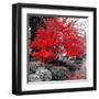 Studies in Red 4-null-Framed Art Print