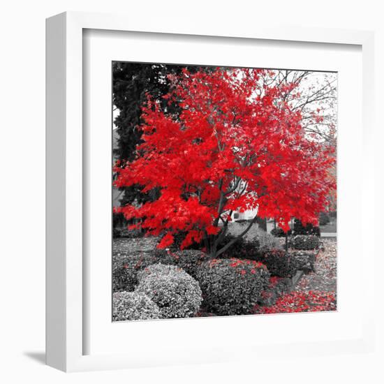 Studies in Red 4-null-Framed Art Print