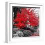 Studies in Red 4-null-Framed Art Print