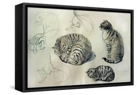 Studies of a cat, 1971-John Stanton Ward-Framed Stretched Canvas