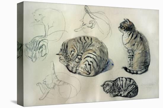 Studies of a cat, 1971-John Stanton Ward-Stretched Canvas