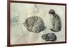 Studies of a cat, 1971-John Stanton Ward-Framed Giclee Print