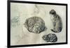 Studies of a cat, 1971-John Stanton Ward-Framed Giclee Print