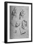 'Studies of a Child and Parts of a Child', c1480 (1945)-Leonardo Da Vinci-Framed Giclee Print