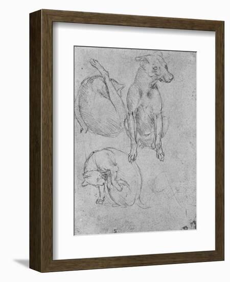 'Studies of a Dog and of a Cat', c1480 (1945)-Leonardo Da Vinci-Framed Giclee Print