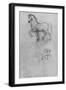 'Studies of a Horse and one of a Horse and Rider', c1480 (1945)-Leonardo Da Vinci-Framed Giclee Print