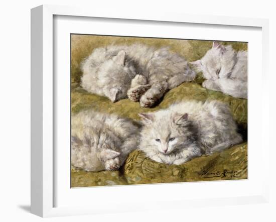 Studies of a Long-haired White Cat-Henriette Ronner-Knip-Framed Giclee Print