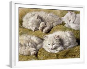 Studies of a Long-haired White Cat-Henriette Ronner-Knip-Framed Giclee Print