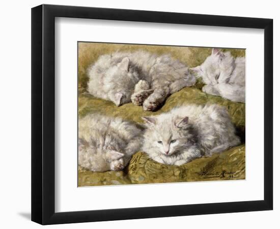Studies of a Long-haired White Cat-Henriette Ronner-Knip-Framed Premium Giclee Print
