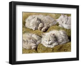 Studies of a Long-haired White Cat-Henriette Ronner-Knip-Framed Premium Giclee Print