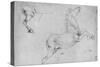 'Studies of a Rearing Horse and a Horse's Hind-Quarters', c1480 (1945)-Leonardo Da Vinci-Stretched Canvas