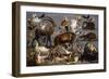 Studies of a Red Deer, an Ibex, a Wild Boar, Three Wolves, Two Beavers, Two Hares, a Fox, Four…-Carl Borromaus Andreas Ruthart-Framed Giclee Print