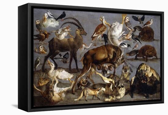 Studies of a Red Deer, an Ibex, a Wild Boar, Three Wolves, Two Beavers, Two Hares, a Fox, Four…-Carl Borromaus Andreas Ruthart-Framed Stretched Canvas