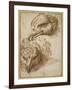 Studies of an Eagle's Head-Perino Del Vaga-Framed Giclee Print