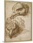 Studies of an Eagle's Head-Perino Del Vaga-Mounted Giclee Print