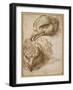Studies of an Eagle's Head-Perino Del Vaga-Framed Giclee Print