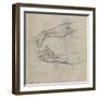 Studies of an Outstretched Arm for the Fresco the Drunkenness of Noah, C.1508-Michelangelo Buonarroti-Framed Giclee Print