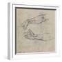Studies of an Outstretched Arm for the Fresco the Drunkenness of Noah, C.1508-Michelangelo Buonarroti-Framed Giclee Print