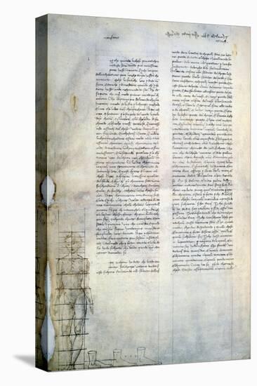 Studies of Anatomy, Male Figure Standing, from Codex Ashburnham 361-Leonardo da Vinci-Stretched Canvas