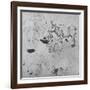 'Studies of Asses and of an Ox', c1480 (1945)-Leonardo Da Vinci-Framed Giclee Print