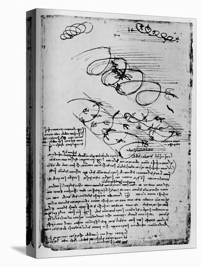 'Studies of Birds in Flight When Rising and Circling', 1928-Leonardo Da Vinci-Stretched Canvas