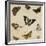 Studies of Butterflies and Insects-Sydenham Teast Edwards-Framed Giclee Print