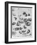 Studies of Cats, 1513-1515-Leonardo da Vinci-Framed Giclee Print