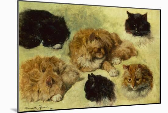 Studies of Cats, 1895 (oil on canvas)-Henriette Ronner-Knip-Mounted Giclee Print