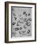 'Studies of Cats and of a Dragon', c1480 (1945)-Leonardo Da Vinci-Framed Giclee Print