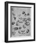 'Studies of Cats and of a Dragon', c1480 (1945)-Leonardo Da Vinci-Framed Giclee Print