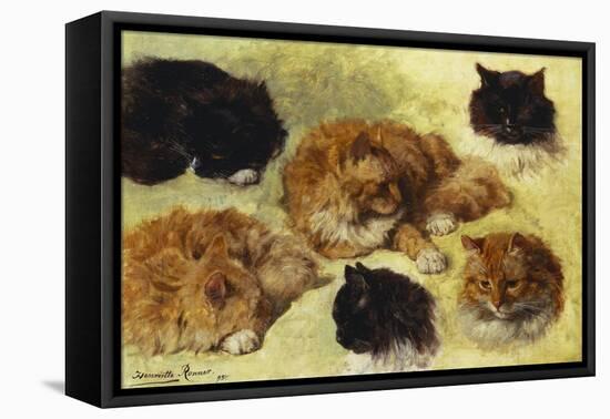 Studies of Cats-Henriette Ronner-Knip-Framed Stretched Canvas