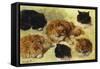 Studies of Cats-Henriette Ronner-Knip-Framed Stretched Canvas