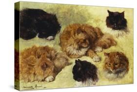 Studies of Cats-Henriette Ronner-Knip-Stretched Canvas