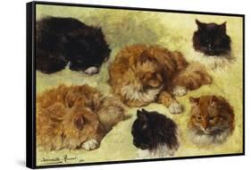 Studies of Cats-Henriette Ronner-Knip-Framed Stretched Canvas