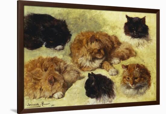 Studies of Cats-Henriette Ronner-Knip-Framed Giclee Print