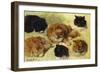 Studies of Cats-Henriette Ronner-Knip-Framed Giclee Print