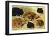 Studies of Cats-Henriette Ronner-Knip-Framed Giclee Print