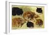 Studies of Cats-Henriette Ronner-Knip-Framed Giclee Print