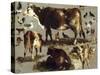 Studies of Cows, Hens, Roosters, a Goose and a Sheep-Rosa Bonheur-Stretched Canvas
