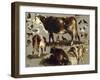 Studies of Cows, Hens, Roosters, a Goose and a Sheep-Rosa Bonheur-Framed Giclee Print